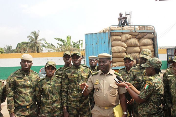 Fraude sur le cacao ivoirien :  La douane opère un gros coup de filet