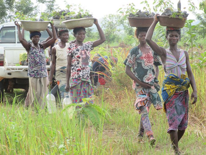 Prix d’excellence 2017 : les lauréats du ministère du plan et du développement classés 2e et 3e reçoivent leurs récompenses jeudi