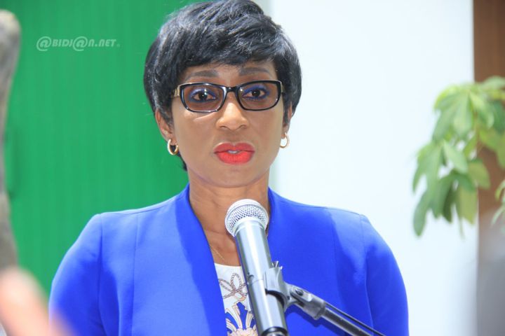 Politique: le PDCI-RDA réaménage son Secrétariat Exécutif avec l’entrée de 4 nouveaux membres