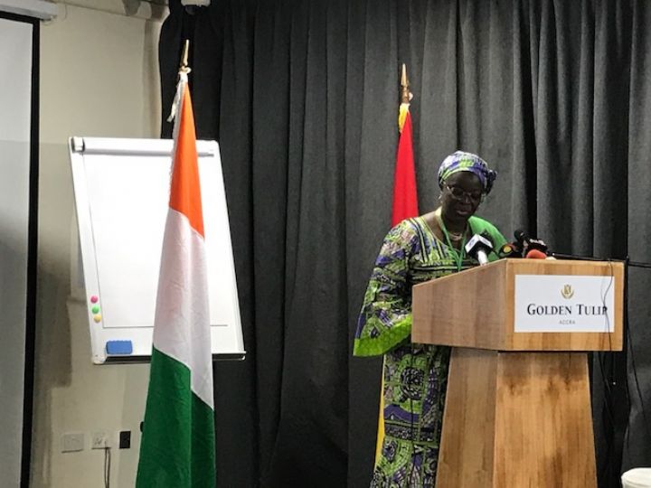 Le conseil du café-cacao et Ghana cocoa board se rencontrent a accra pour consolider leur coopération dans le domaine du cacao