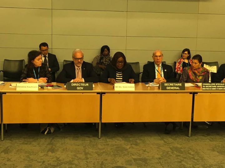 Journée internationale de la femme : La Ministre Nialé KABA plaide pour une planification et une budgétisation sensibles au genre