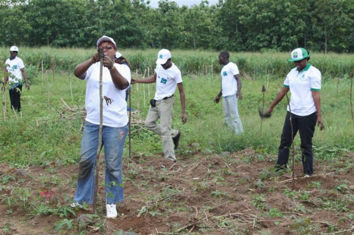 Journée de l’arbre : Le PCA de la Sodefor équipe le poste des Eaux et Forêts de Madinani