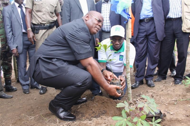 Application des règlementations forestières - La Côte d`ivoire marque son adhésion au FLEGT