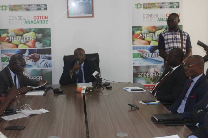 La campagne 2019 de commercialisation de la noix de cajou lancée