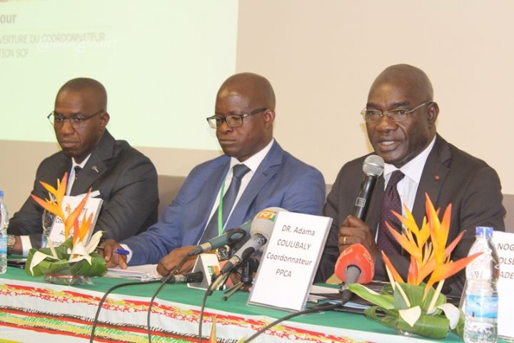 Projet de Promotion de la Compétitivité de la Chaîne de Valeur de l’Anacarde : lancement du mécanisme des Subventions à Coûts Partagés (SCP)