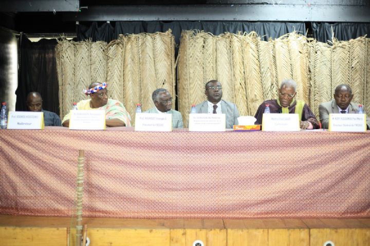 Musicologie - Indice de développement culturel Pr Paul Dagri : « Comment révolutionner les instruments de musique africains pour enrichir la culture universelle »