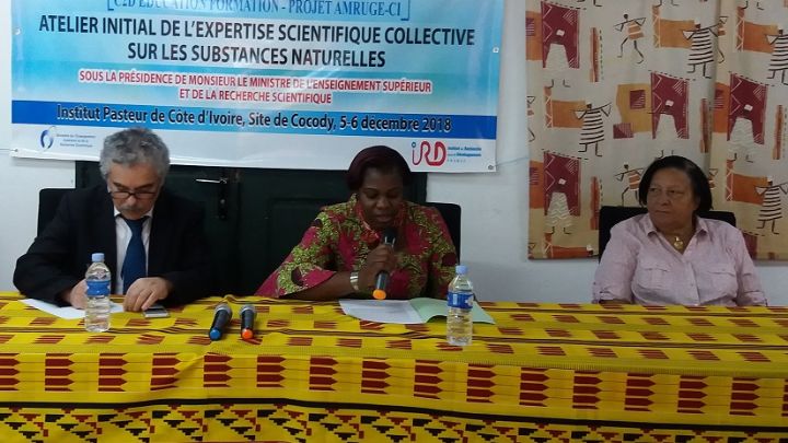 Des experts réfléchissent sur l’inventaire des substances naturelles du pays