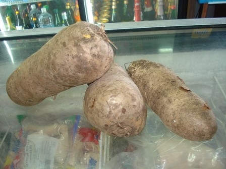 Fête des ignames à Koffi Amonkro/ Prikro - Une 10ème édition au parfum de la présidentielle