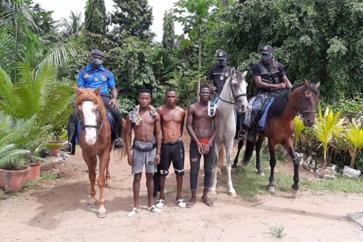Carrefour Akwaba Port-Bouët : la police équestre interpelle des voleurs à l’arraché