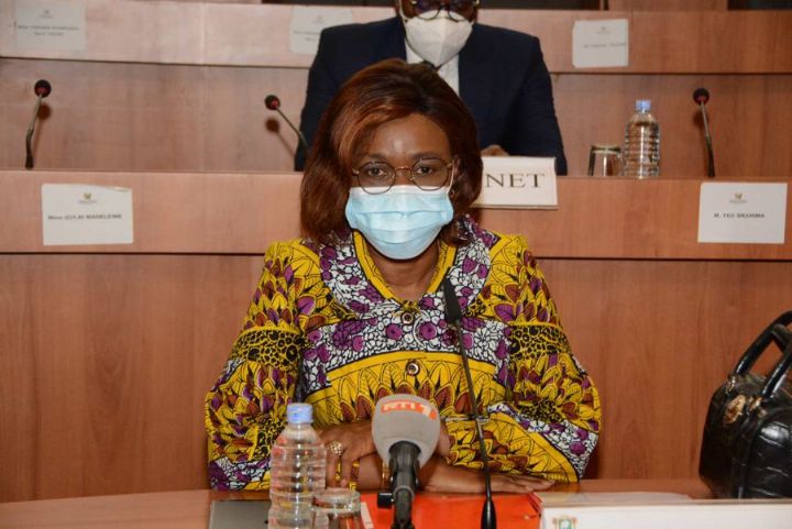 Assemblée nationale : La loi sur l’organisation du système statistique national adoptée en commission