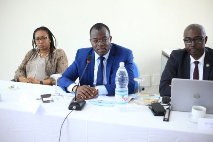 Transporteurs, assureurs et consommateurs sensibilisés sur la carte brune d’assurance CEDEAO