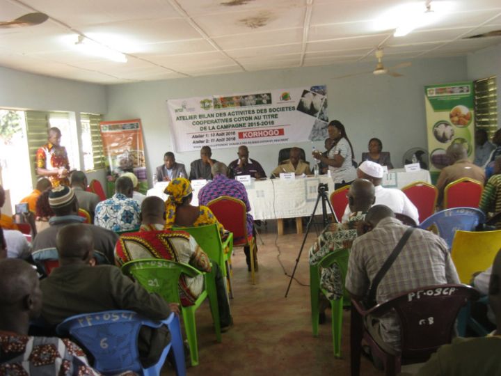 Korhogo: Des ateliers bilan éclatés des sociétés coopératives de coton dans les régions du poro tchologo et bagoué et du gbêkê