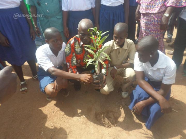 Lataha (Korhogo)/ Protection de l’environnement: La création des gisements de bois d’énergies, un impératif dans le Nord Ivoirien