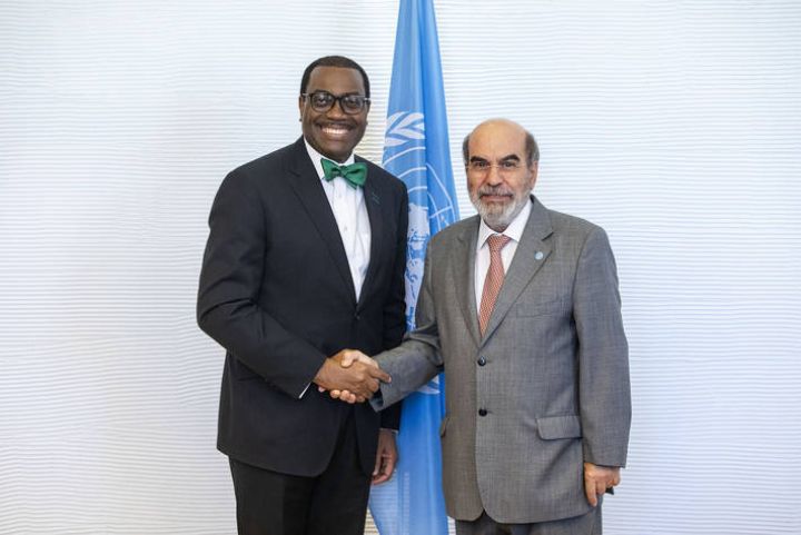 La BAD et la FAO ciblent les investissements agricoles afin d’éradiquer la faim et de créer de la richesse