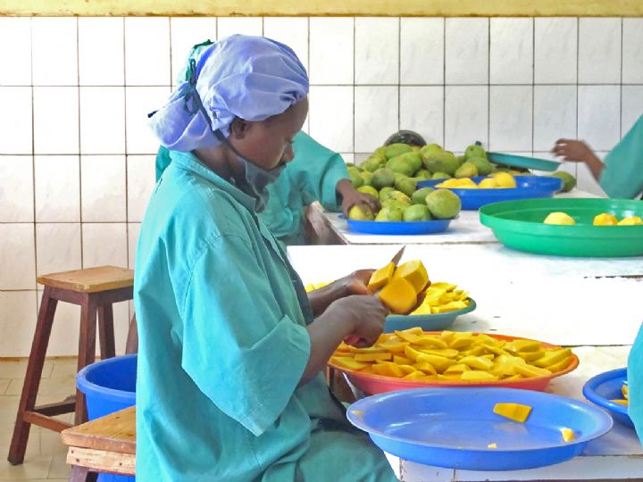 Filière mangue : 180000 tonnes par an, 3ème fournisseur du marché européen