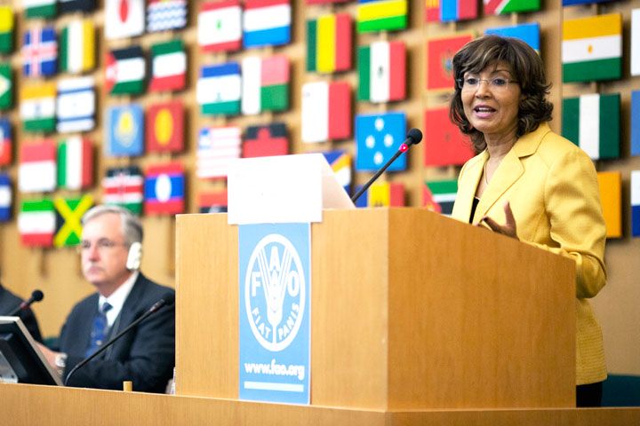 Une nouvelle plateforme en ligne de l’ONU aide à réduire les pertes alimentaires