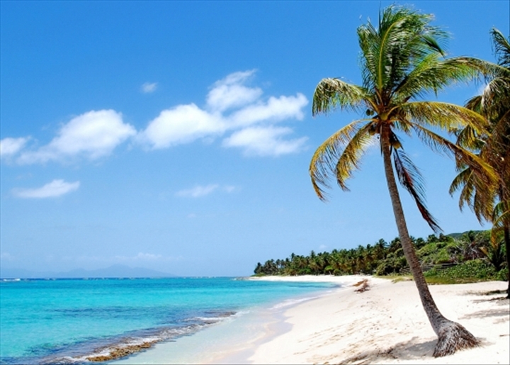 Activité touristique - Le marché des agences de voyage