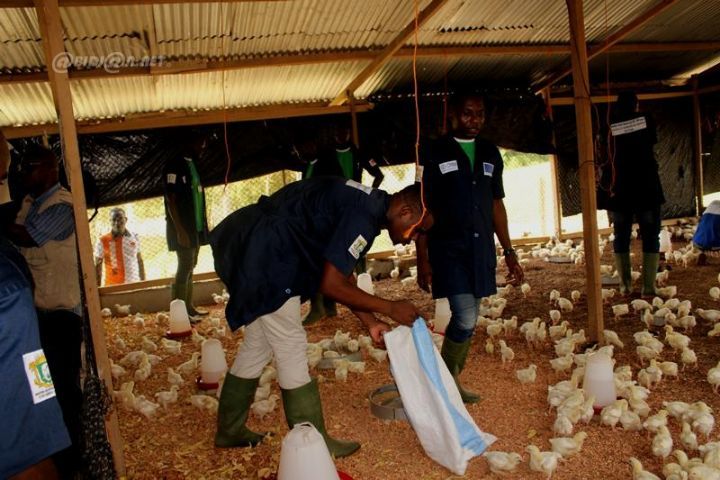 Réinsertion socio-économique: 935 ex-migrants réinsérés dans le tissu économique