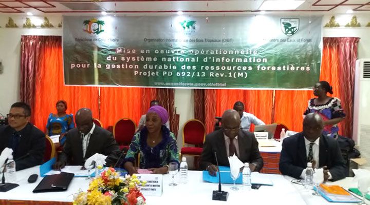 Des experts du bois évaluent le projet de gestion durable des ressources forestières