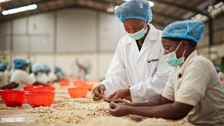 Le groupe Olam en Côte d’Ivoire lance « Olam Graduate Programme » pour jeunes diplômés