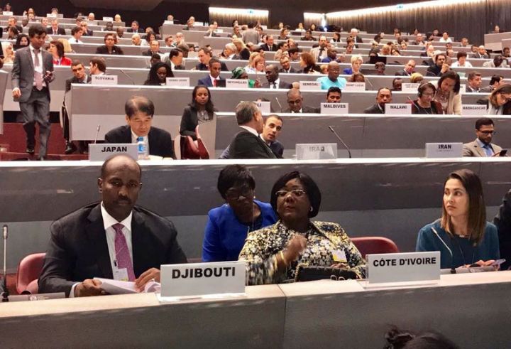 Côte d’Ivoire/ Environnement et développement durable: Anne Ouloto à la COP1 de Génève sur le mercure