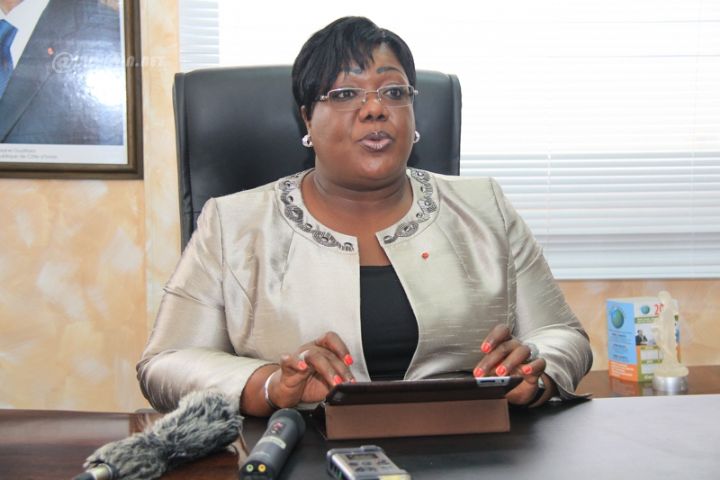 Journée internationale de la solidarité : le gouvernement ivoirien solidaire des couches les plus vulnérables (Ministre)