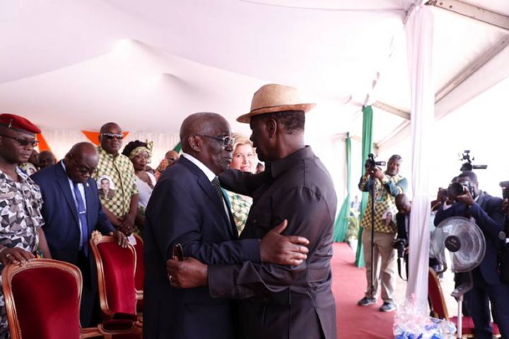 Commentaire : Baba Diallo et nous, par Wakili Alafé (13 mai 2019)