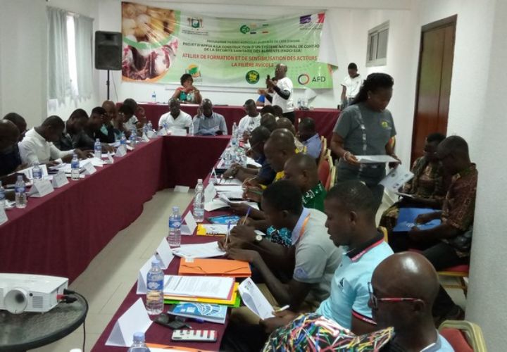 Ouverture à Abengourou d’un atelier des aviculteurs sur la sécurité sanitaire des aliments