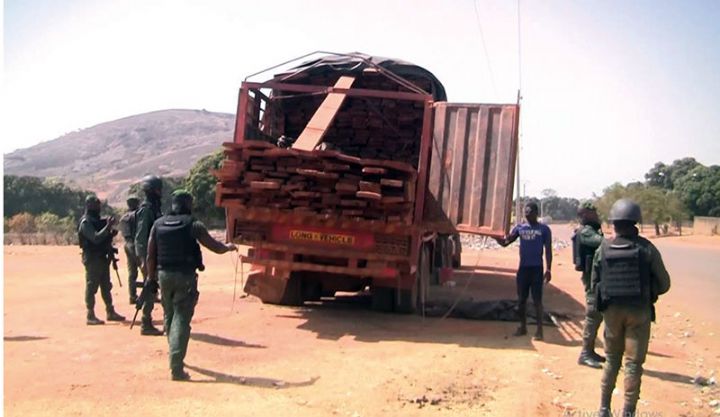 Lutte contre le sciage clandestin de bois d’œuvre et d’Ebenisterie : la brigade spéciale déjà en action sur le terrain