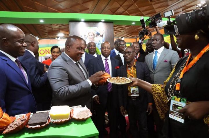 Production nationale de cacao : le gouvernement vise une transformation locale