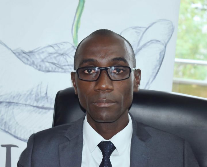 Mécanisme REDD+ en Côte d’ivoire : Près de 6 millions d’hectares de forêt à restaurer d’ici 2030