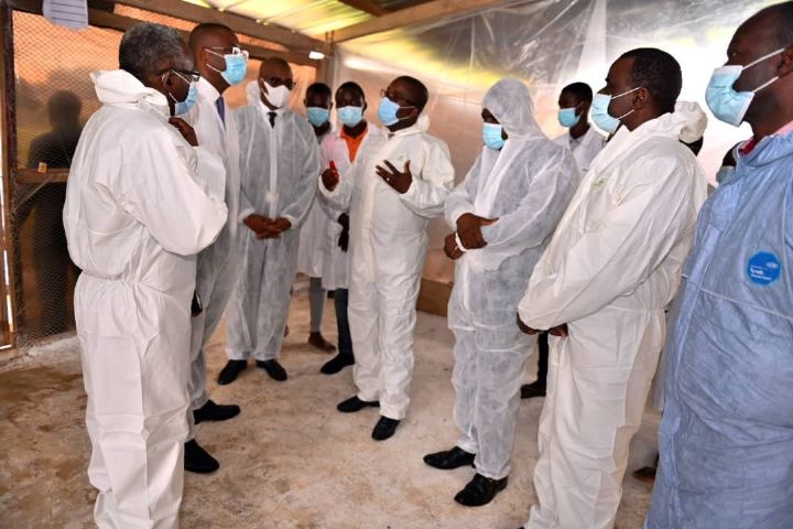 Côte d’Ivoire/Production avicole: ’’200.000 tonnes de viandes et 3,37 milliards d’unité d’œufs attendus d’ici 2030’’ (Ministère)