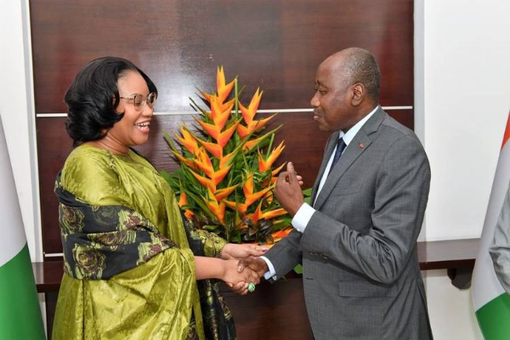 Culture : la Côte d’Ivoire et le Mali relancent leur coopération bilatérale