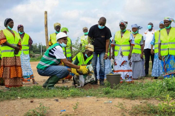 Planting d’arbres : une 