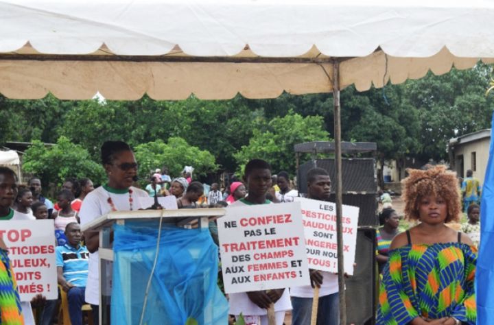 500 agricultrices disent non à l’utilisation des pesticides obsolètes à Diabo