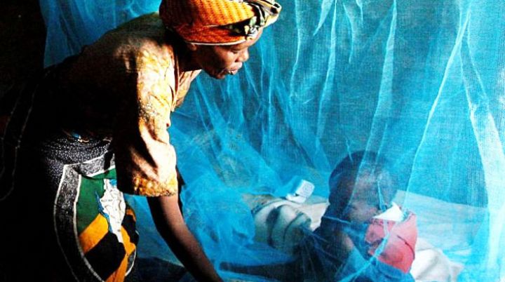 VIH, paludisme, tuberculose et cancer du sein et du col de l’utérus : Les acquis de la lutte mis en exergue