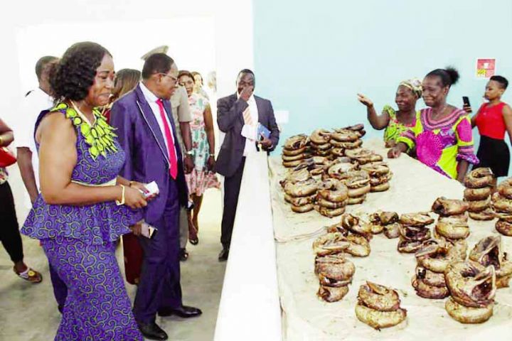 Secteur de la pêche en Côte d’Ivoire : L’union des mareyeuses fait le bilan de ses activités