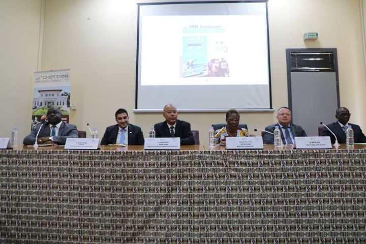 Production d’énergie renouvelable  - Des experts allemands forment des PME ivoiriennes à la maîtrise des projets d’énergie solaire