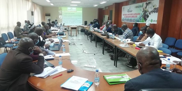 Intercoton dresse le bilan de la mutualisation des semences coton à Bouaké