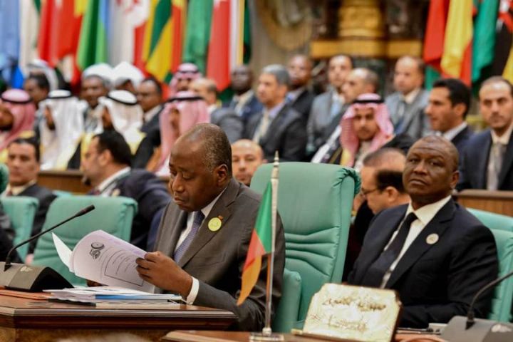 OCI : les pays membres s’engagent à œuvrer davantage pour la paix et le développement