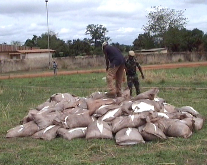 Incinération de 87 sacs de 50 kg de sucre saisis par la brigade mobile d`Odienné