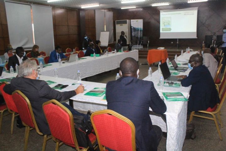 La Côte d’Ivoire prépare un planting de 50 millions d’arbres 