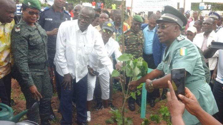 2000 arbres plantés pour reverdir deux hectares de la