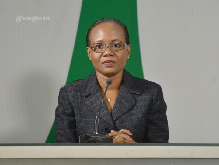 Côte d’Ivoire/ Sénatoriales 2018 : La liste RHDP vainqueur du scrutin dans le Gontougo