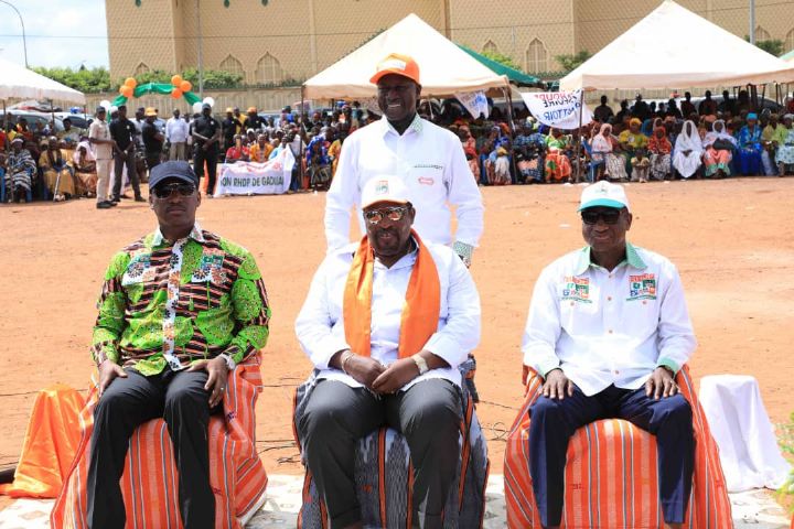 Haut Sassandra/ Investiture de la coordination RHDP: Mamadou Touré prend des engagements pour 2020