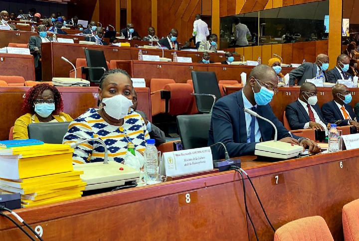 Sénat :  présentation du budget-programme 2021 du ministère de la culture