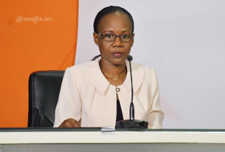 Elections locales 2018: Le scrutin annulé à Facobly