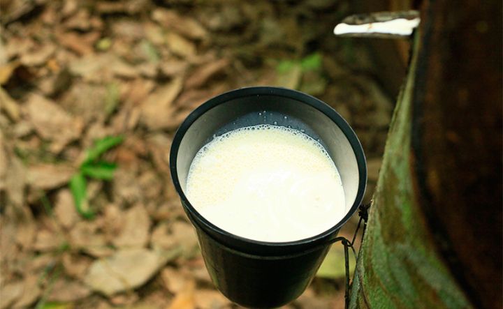 Managements de qualité et environnement : GREL , filiale de SIFCA certifiée ISO 9001 et 14001 version 2015