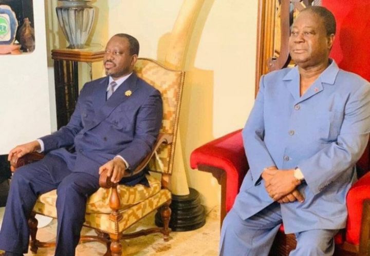 Dernière visite de l’ex-président du parlement à Daoukro : le regard d’un cadre du Rhdp (Libre opinion)