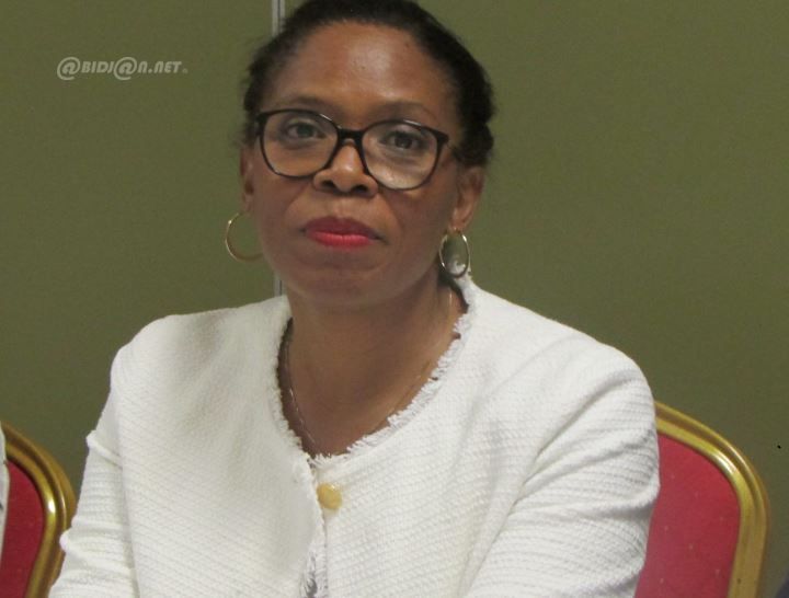 Lutte contre le paludisme : lancement ce vendredi à Abidjan de la dernière phase de la distribution de masse des moustiquaires imprégnées